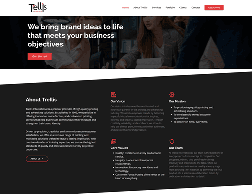Trellis International website hero showing a team collaborating